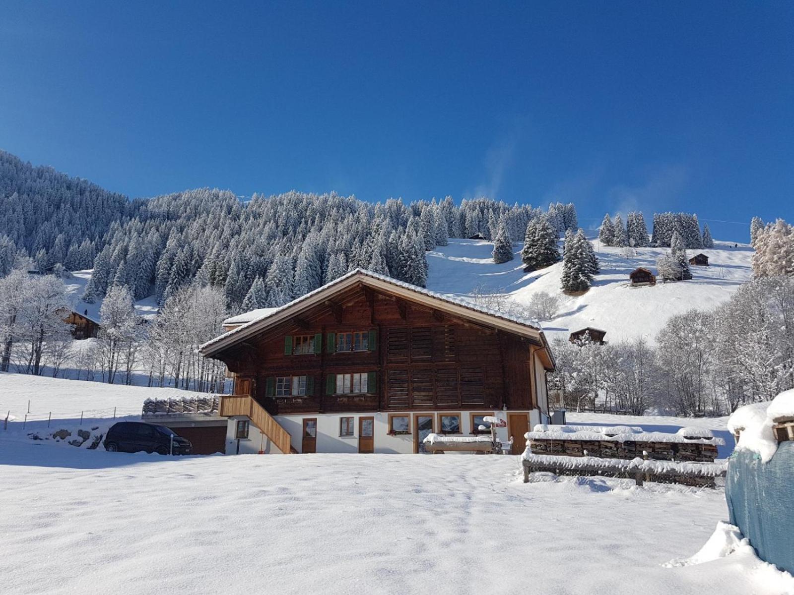 Bnb Fellacher Adelboden Luaran gambar